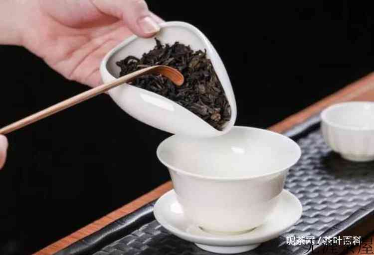 黑茶要怎么泡才正确