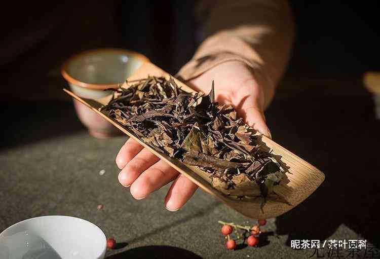 白茶冲泡水温及时间