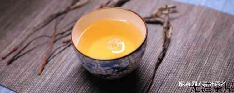 什么茶可以天天喝