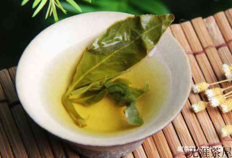 梨山茶属于什么茶
