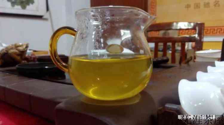 梨山茶属于什么茶