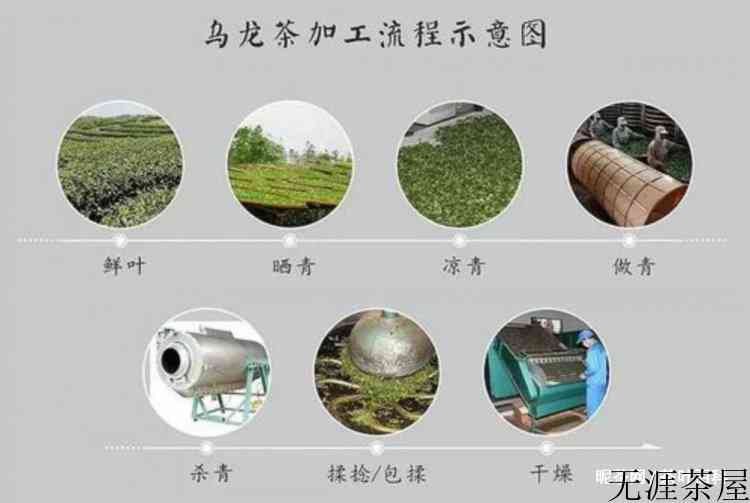 乌龙茶制作工艺