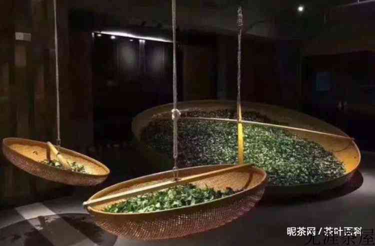 乌龙茶制作工艺