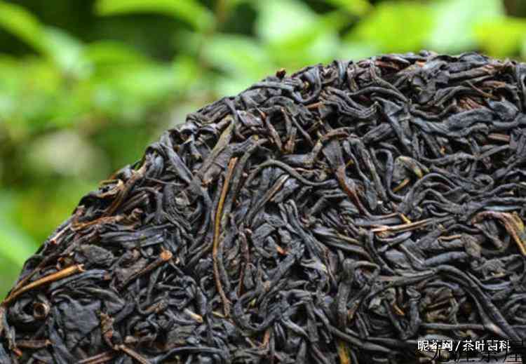 紫茶的功效和作用