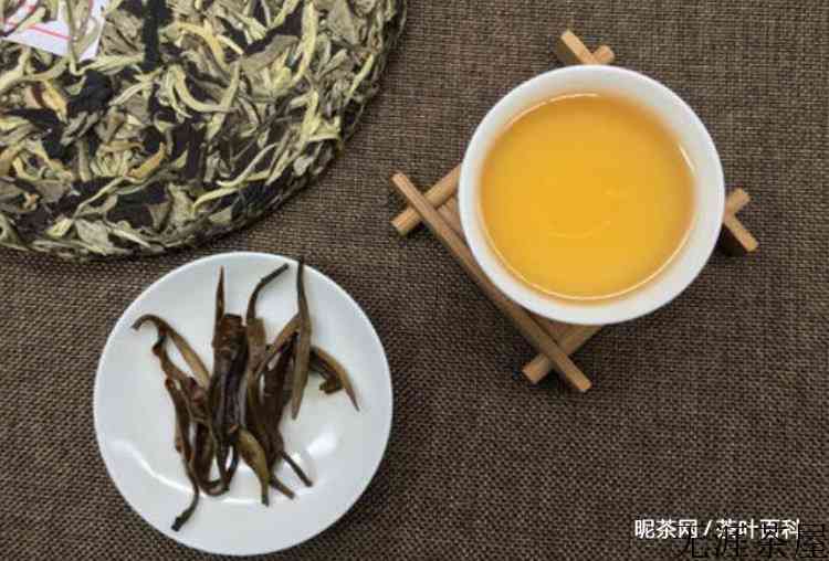 月光美人属于什么茶