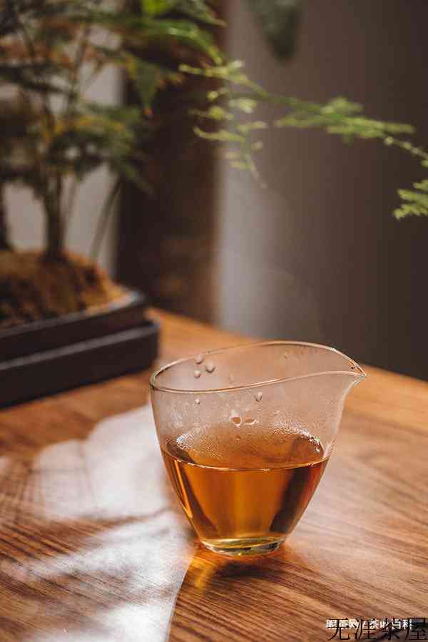 秋冬季喝完茶口干舌燥，这是为什么