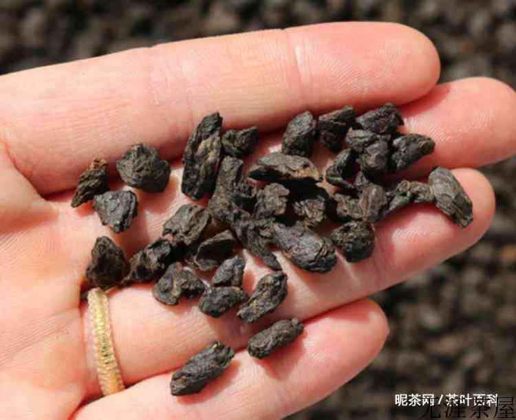 碎银子普洱茶为什么泡出来是苦的