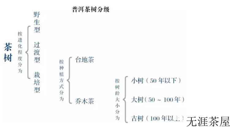 普洱茶等级一级和五级哪个好