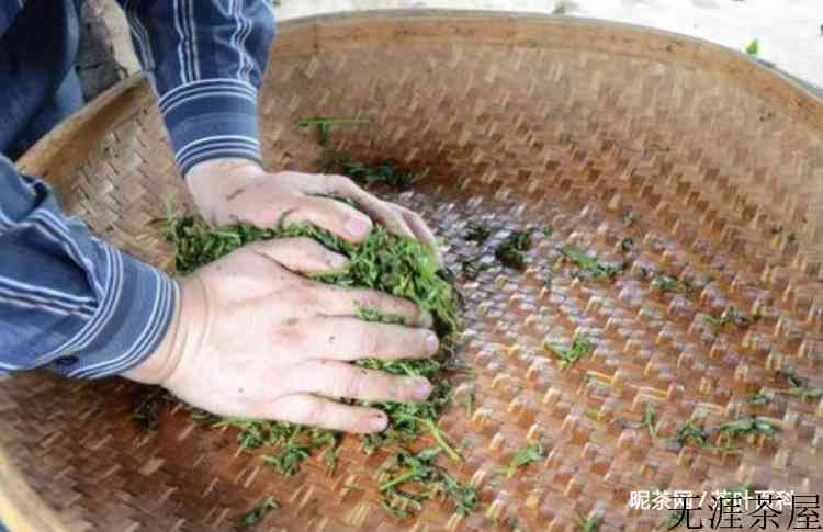乌龙茶的关键加工工艺是什么