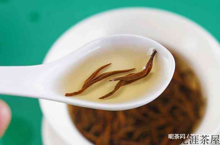金骏眉什么品种最好