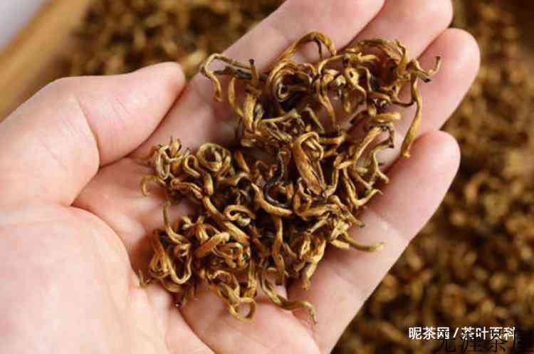 滇红金芽属于什么茶
