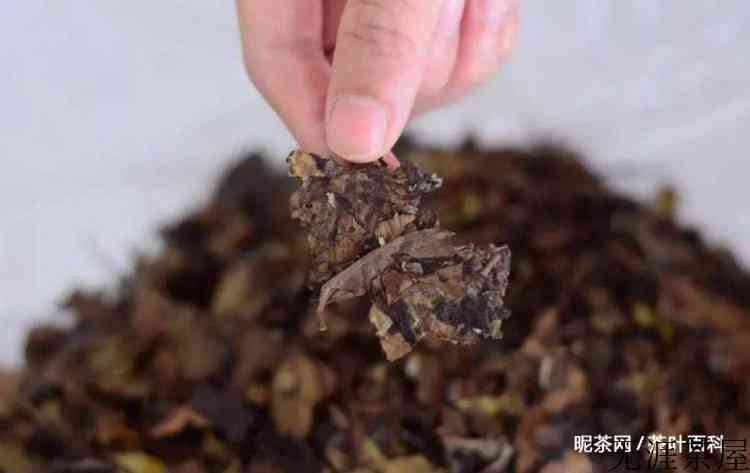白茶存放时间越久越好吗