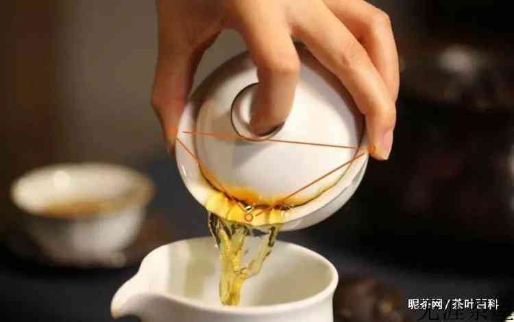 信阳红茶怎么泡