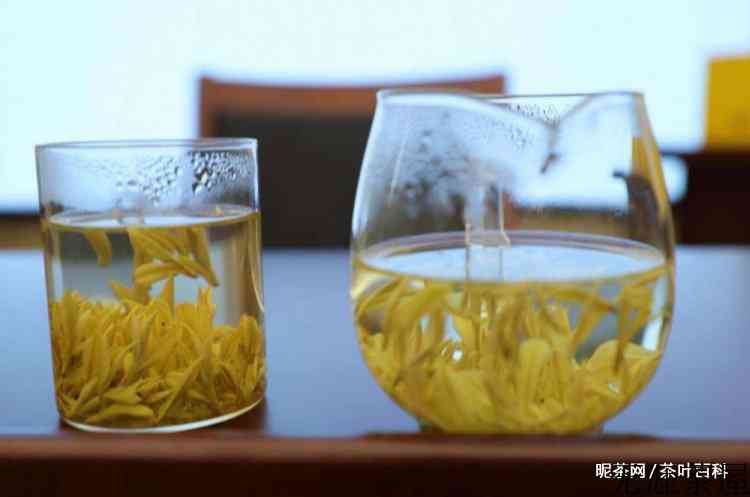广德黄金芽属于什么茶