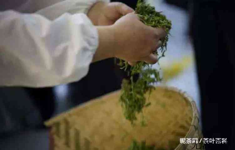 仙阙茶属于什么茶