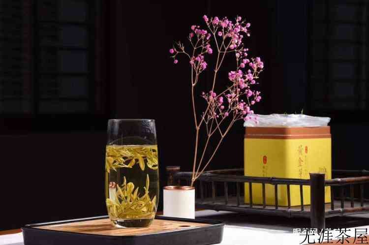 黄金芽的作用与功效是什么