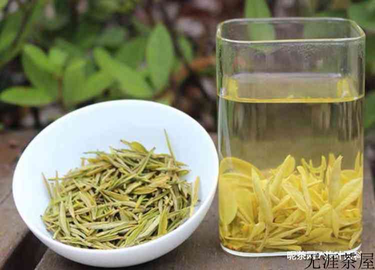 黄金芽的作用与功效是什么