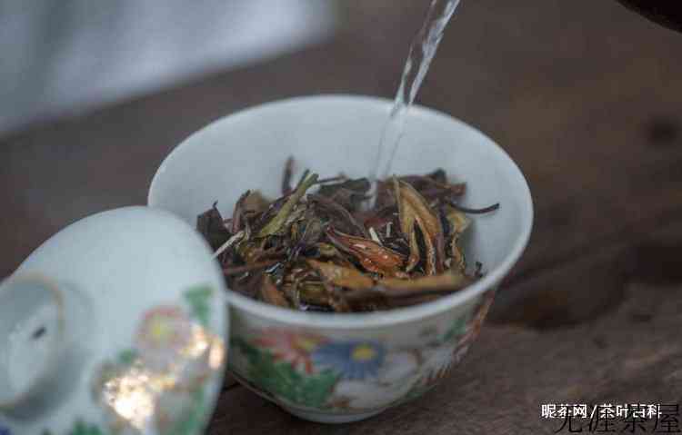 什么茶存放的越久越好