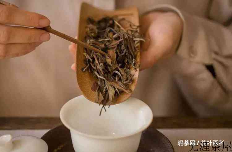什么茶需要洗茶什么茶不需要洗