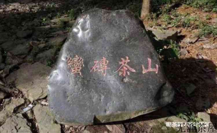 普洱六大茶山是哪六个