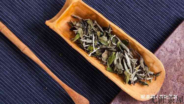 白茶用多少度的水泡最好