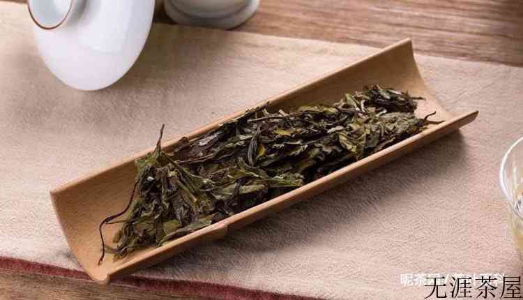 白茶用多少度的水泡最好