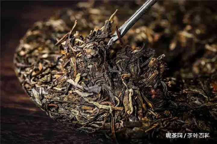 7741普洱茶什么意思
