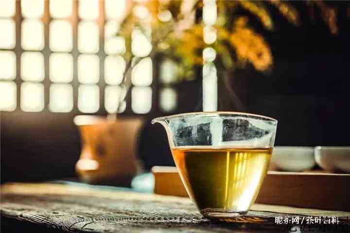 7741普洱茶什么意思