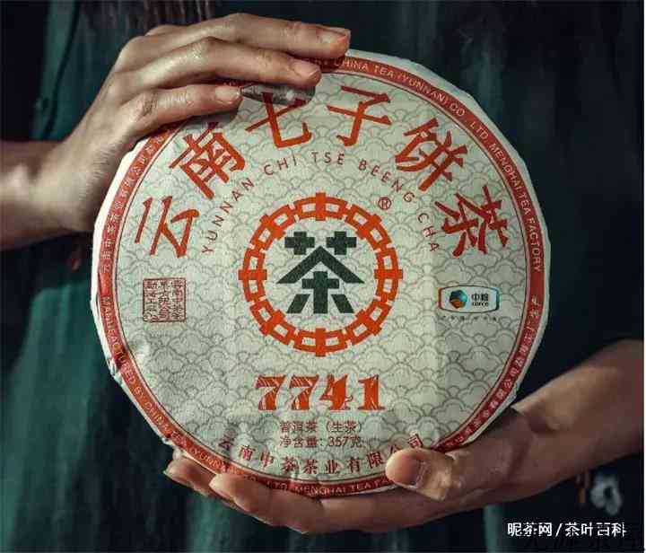 7741普洱茶什么意思