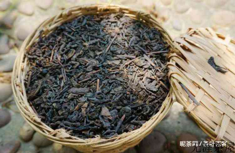 广西黑茶是什么茶