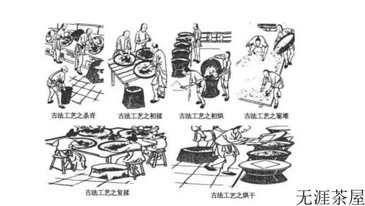广西黑茶是什么茶