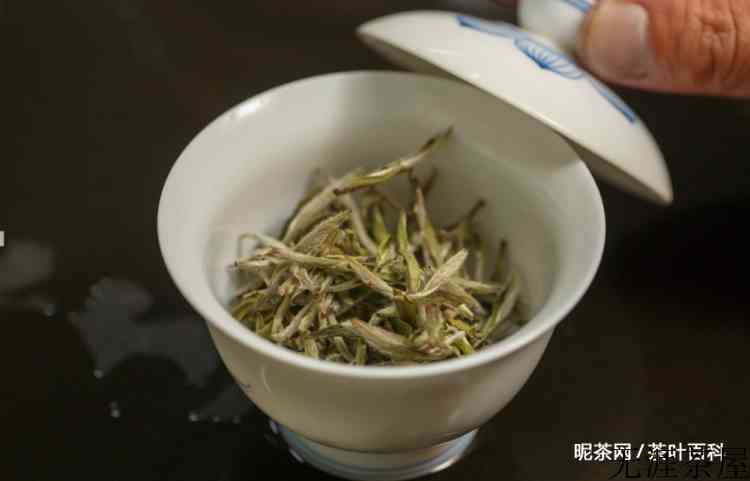 白茶怎么泡才正确