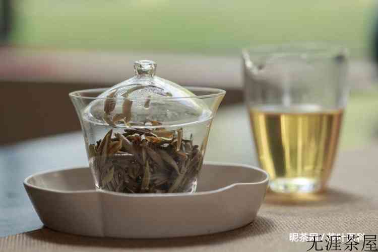 白茶怎么泡才正确
