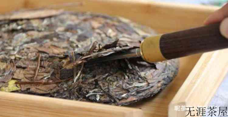 白茶怎么泡才正确