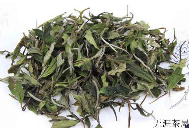 老白茶与白茶区别
