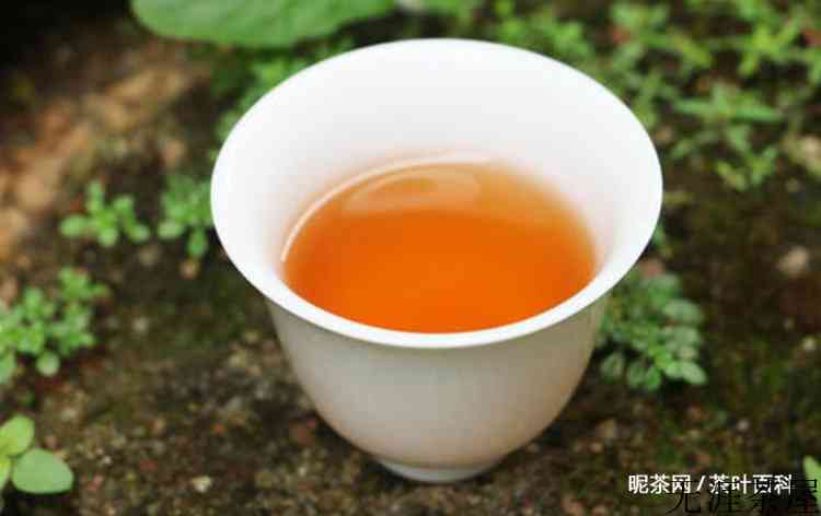 牛栏坑肉桂茶功效作用