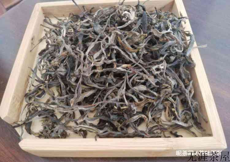 喝普洱茶什么季节喝比较合适