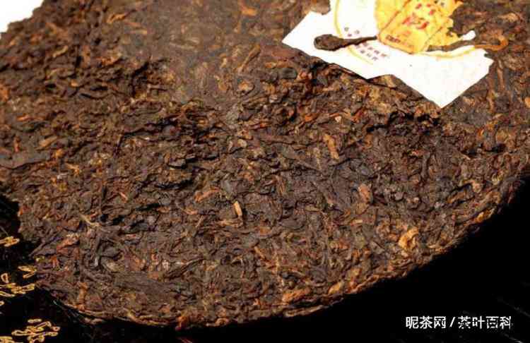 喝普洱茶什么季节喝比较合适