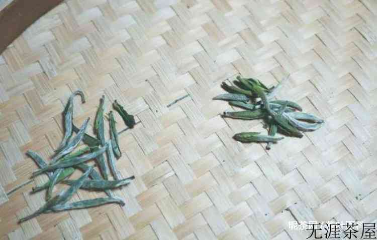 福鼎白茶等级怎么分