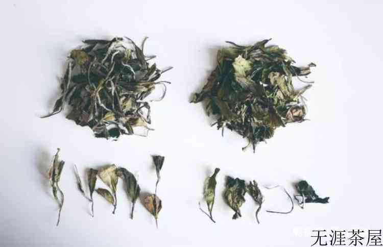 福鼎白茶等级怎么分
