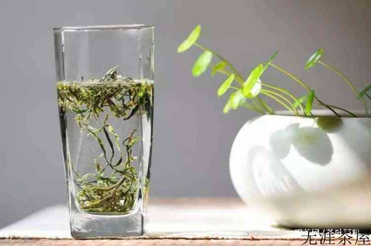 庐山云雾茶是什么茶类