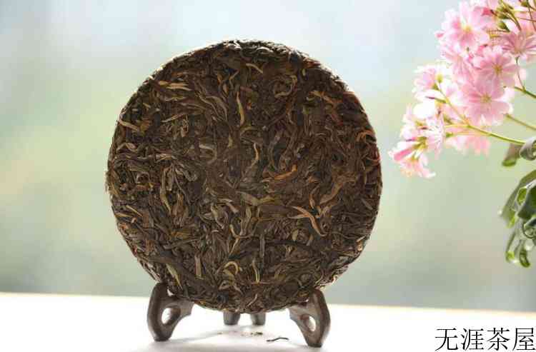 普洱茶什么茶最苦