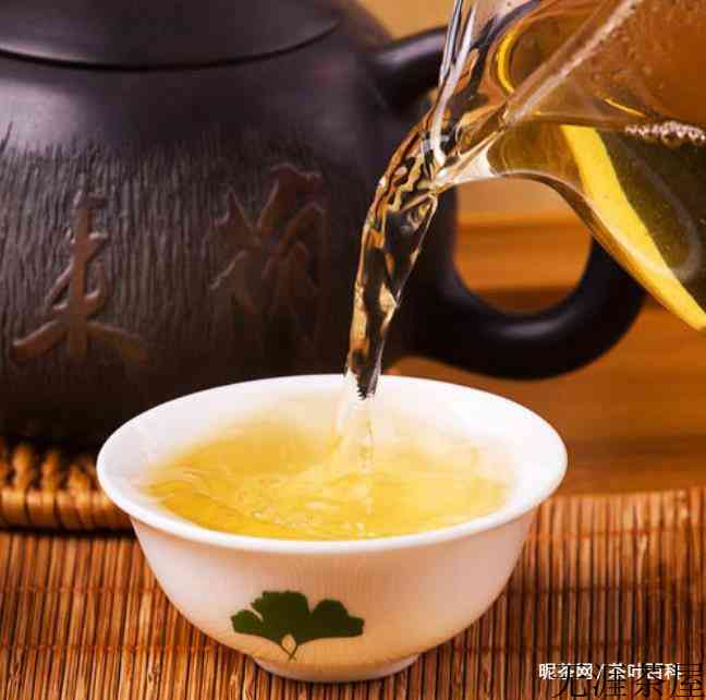普洱茶什么茶最苦