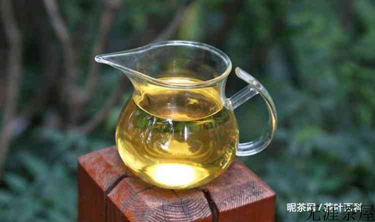 普洱茶什么茶最苦
