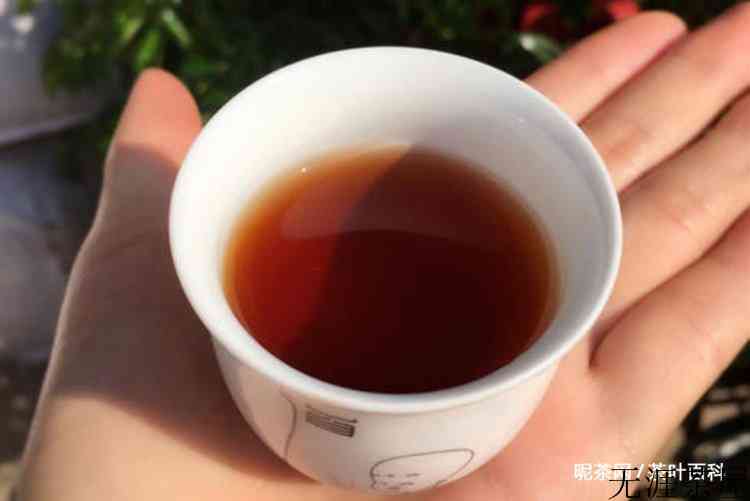 老茶头如何辨别好坏，挑选老茶头的技巧