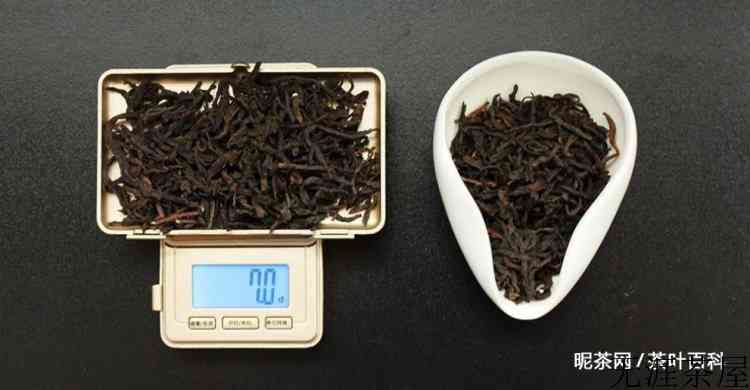 六堡茶怎么泡好喝