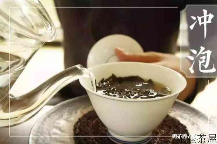 六堡茶怎么泡好喝