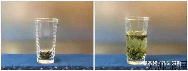 绿茶用多少度的水泡最好