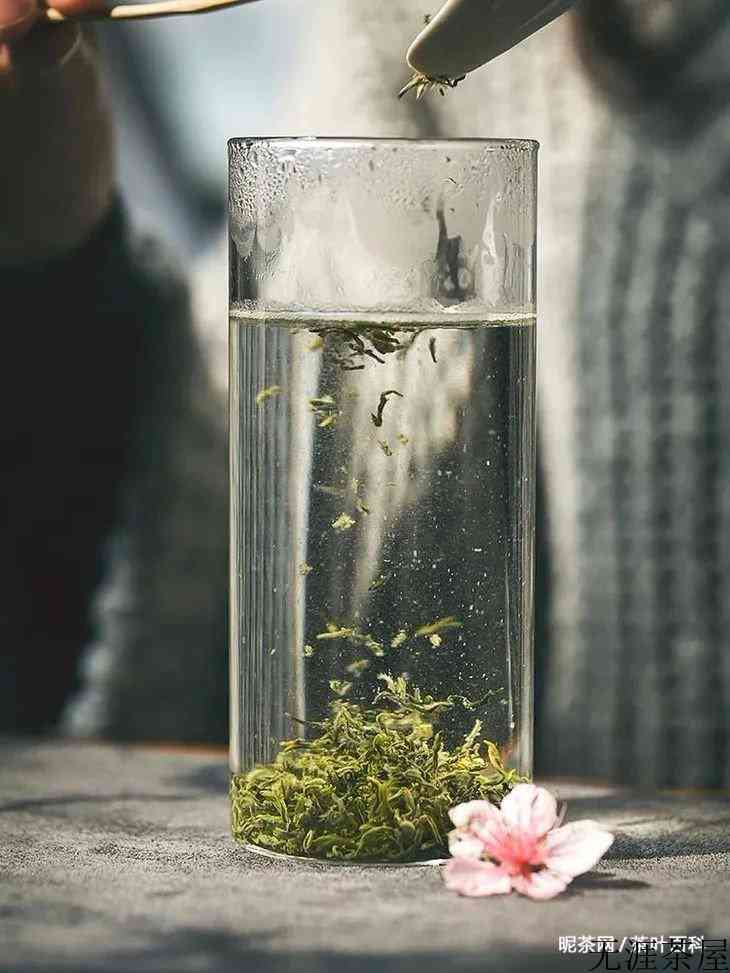 绿茶怎么泡才好喝