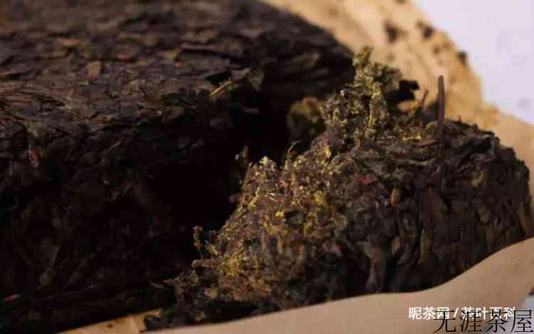 茯茶和黑茶有什么区别